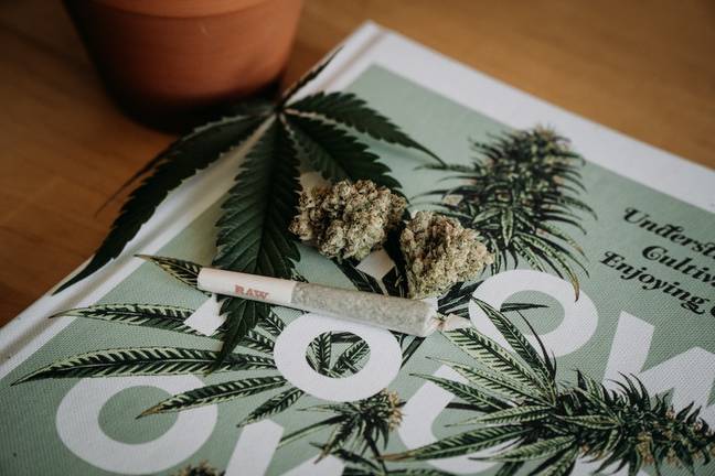 Germany is one step closer to legalising cannabis for recreational purposes. Credit: Unsplash