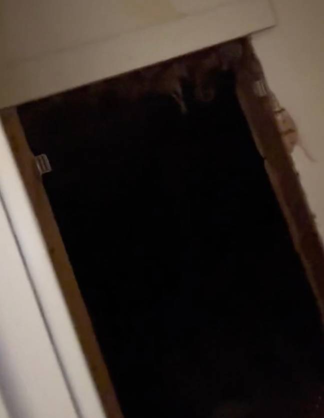 One of the many tunnels in the property. Credit: TikTok/@tierrasaurusrex
