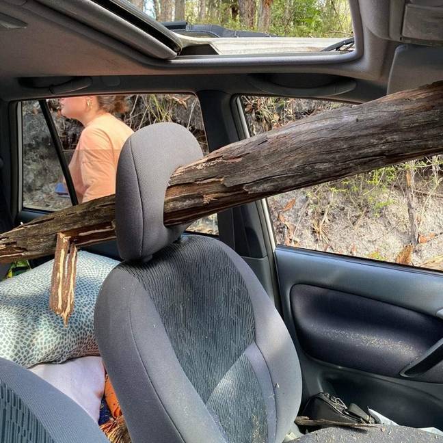 The tree branch went straight through the passenger seat headrest. Credit: Facebook/Madill Motor Group