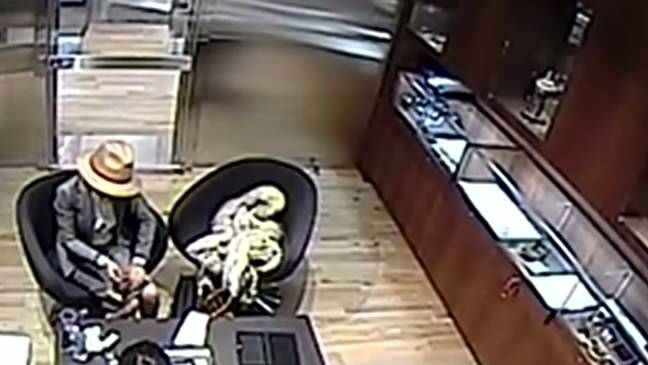 The owner thought the attempted stealing was obvious. Inside Edition/ YouTube