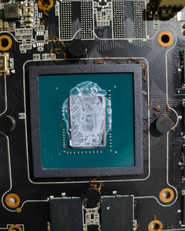 Les fourmis s'installent dans un ordinateur. Crédit : Reddit/U/Thejus_Parol