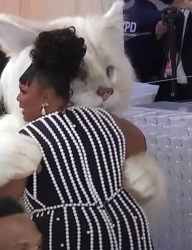 Lizzo was all of us in her reaction to seeing Jared Leto dressed as a massive cat at the Met Gala. Credit: NBC