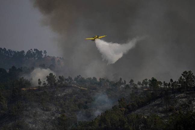 The water was dropped from the plane to tackle a bushfire. Credit: PATRICIA DE MELO MOREIRA/AFP via Getty Images