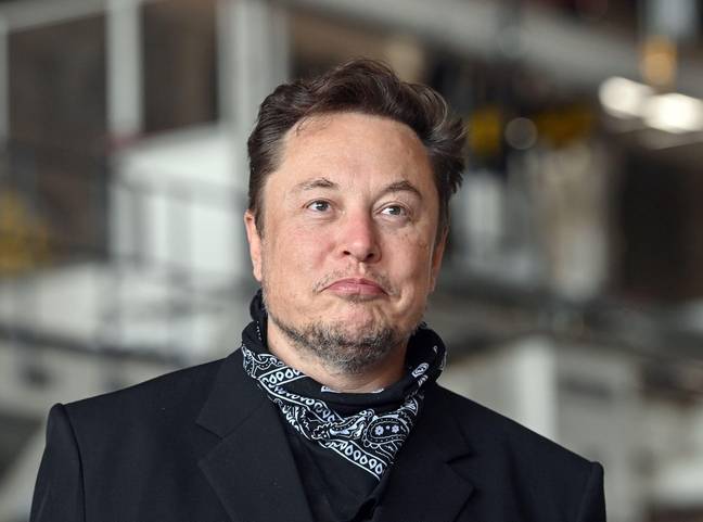Elon Musk, among many other experts, has issued a stark warning over AI research. Credit: dpa picture alliance / Alamy Stock Photo