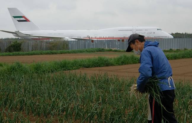 Shito grows vegetables on his farm. Credit: KAZUHIRO NOGI/AFP via Getty Images