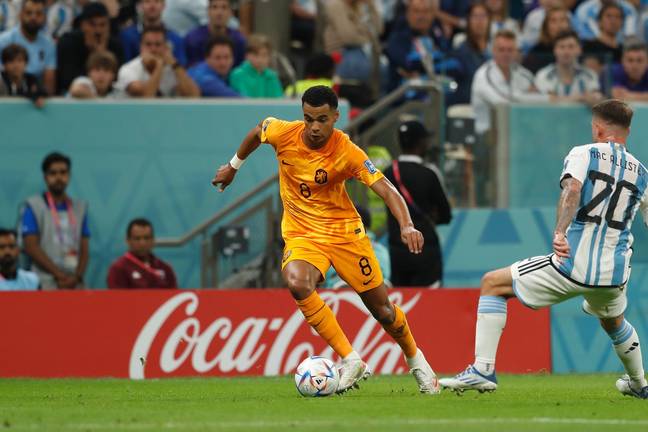 Cody Gakpo in action for the Netherlands at the World Cup. Image: Alamy 