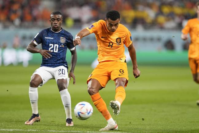 Gakpo in action for the Netherlands during this year's World Cup. (Image Credit: Alamy)