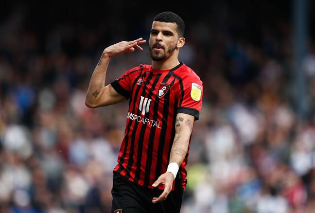 Solanke has been brilliant for Bournemouth in the last two seasons. Image: Alamy