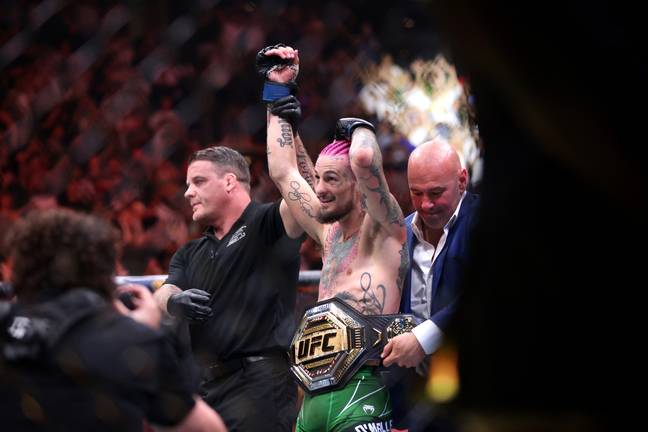 Dana White wraps the UFC title around Sean O'Malley's waist. Image: Getty