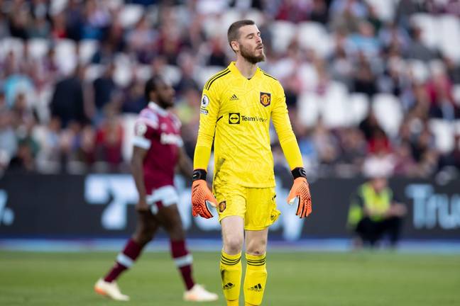 It was an up and down season for De Gea. Image: Alamy