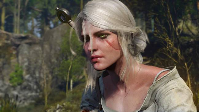 The Witcher 3 / Credit: CD Projekt RED