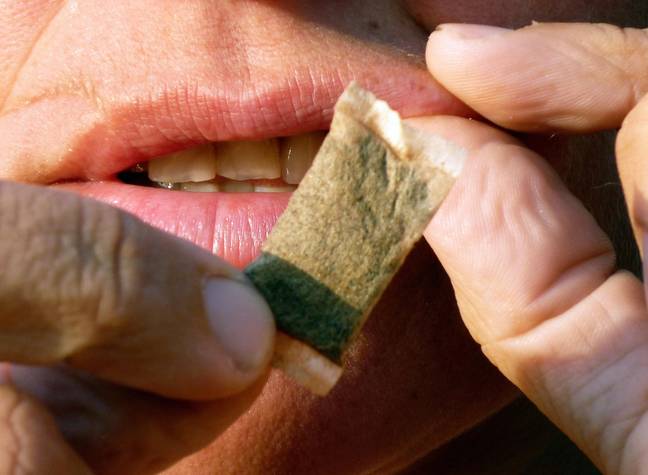 Le snus est très répandu en Scandinavie depuis un certain temps.  Crédit : OLIVIER MORIN/AFP via Getty Images