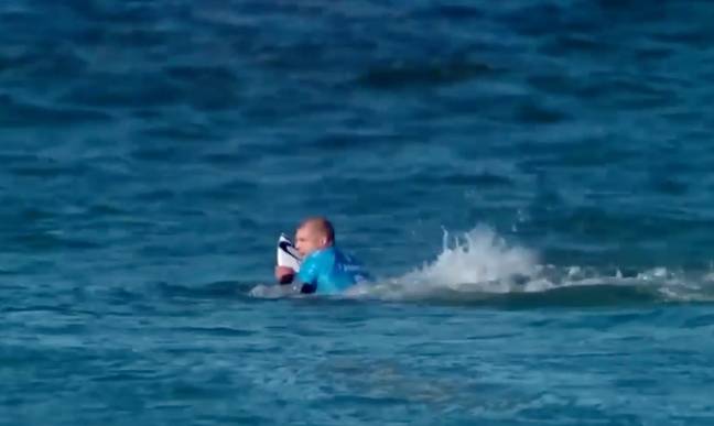Mick Fanning was attacked by a shark on live TV. Credit: 60 Minutes