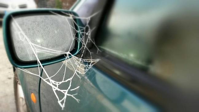 A failure to wipe off spiderwebs from your wing mirror might land you in a bit of trouble. Credit: EyeEm / Alamy Stock Photo