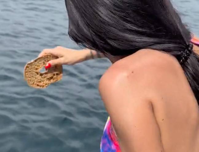 There's nothing like a soggy bagel. Credit: TikTok/@arielmendyy