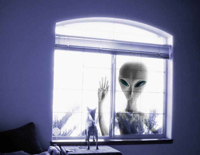 An alien who has forgotten their door keys. Credit: Alamy