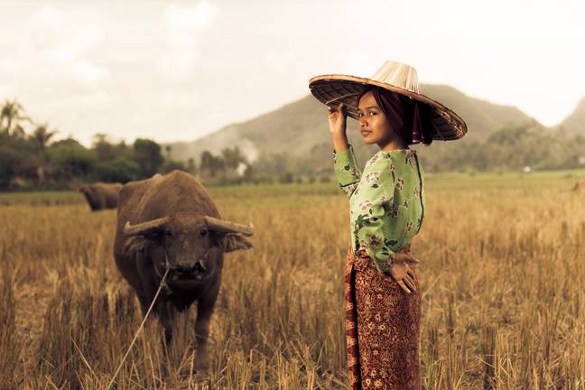 Indonesia has struggled with its tourism sector since the coronavirus pandemic. Credit: Ihsan Adityawarman/Pexels
