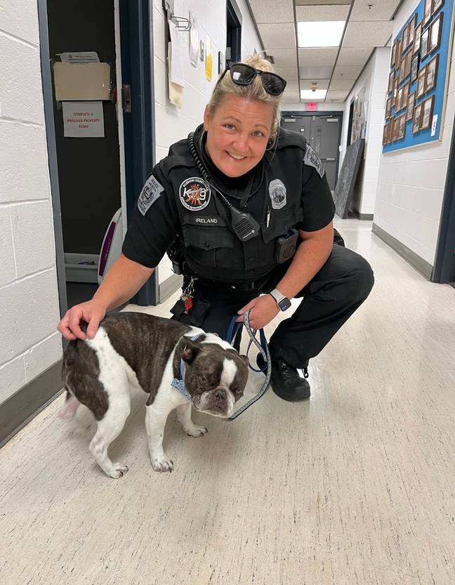 The dog was found unattended in a stroller at Pittsburgh International Airport. Credit: Twitter/Allegheny County Police Department