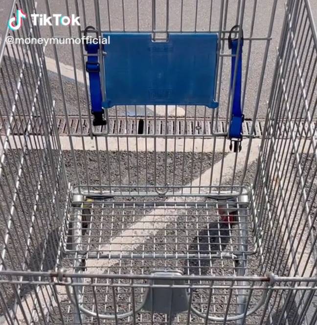 One user argued the design is only on 'old trolleys'. Credit: @moneymumofficial/ TikTok