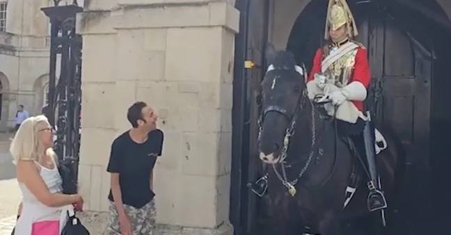 A King's Guard broke royal protocol to allow a man to pet his horse. Credit: YouTube/@thekingsguards