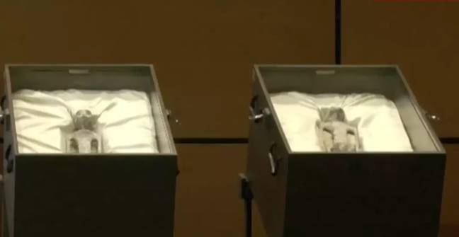 Two 'alien' corpses were presented to Mexican Congress. Credit: YouTube/@ANCalerts
