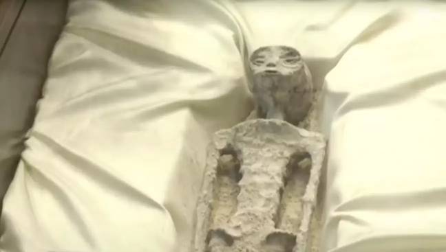 Alien Graba Mexican Government released 'X-ray scans' of two 'alien bodies' found ...