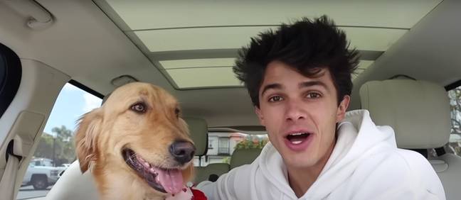 The YouTuber spent $20k on a dog house. Credit: YouTube/Brent Rivera