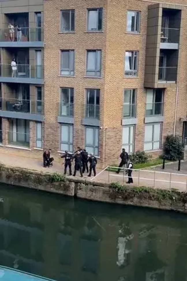 Met Police believe the two dogs were 'dangerously out of control', and subsequently decided to shoot them in the process. Credit: @mariaalcoptia/Twitter