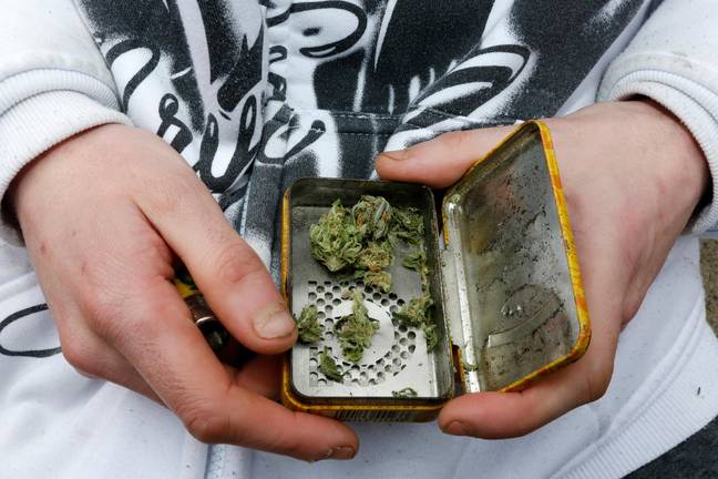 Should the UK legalise cannabis? Credit: Findlay/Alamy