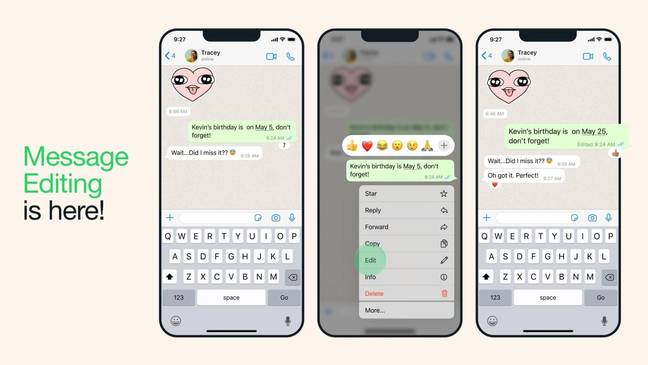 Say goodbye to sending embarrassing drunken messages forever... if you're fast enough. Credit: Credit: Mark Zuckerberg/Meta/WhatsApp