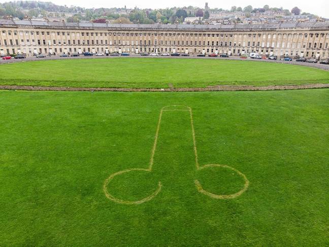 Just days before the Coronation party, cocky pranksters have mowed a large willy into a 'perfect lawn' on one of Britain's most famous streets. Credit: SWNS