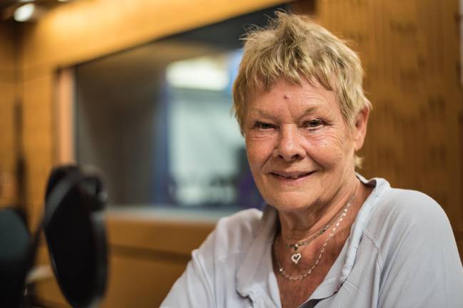 Dame Dench swore at Theroux during the pair's 45-minute interview. Credit: Cheese Scientist/ Alamy Stock Photo