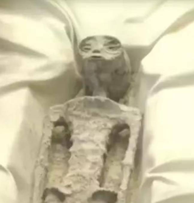 Alien Ct Scan Criminal probe launched by Peruvian officials after two ‘alien bodies ...