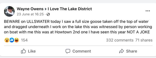 Wayne Owens has warned Lake District locals after he spotted geese being attacked by some sort of underwater creature. Credit: Wayne Owens/ Facebook