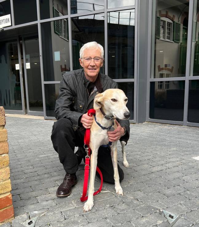 O'Grady spent a lot of time with the dogs at Battersea. Credit: @paulogrady/Instagram