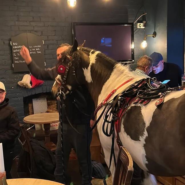 The punter brought his horse with him for a pint. Credit: @thebrickmakers/Facebook