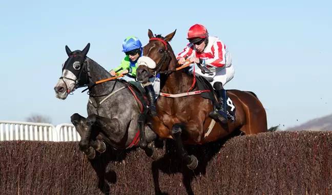 The gambler chose just one winner across all seven races. Credit: PA Images / Alamy