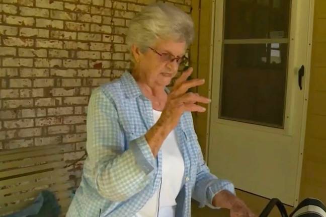 A 90-year-old woman fought off a bear with only a garden chair. Credit: WVLT.