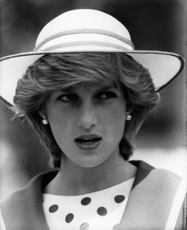 Princess Diana, reacting in the way we'd imagine would if she found out people wanted a sex doll version of her. Credit:  Keystone Press / Alamy