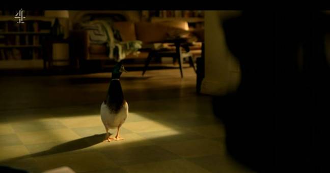 The scene involved a woman and a duck. Credit: Channel 4/Apple TV+