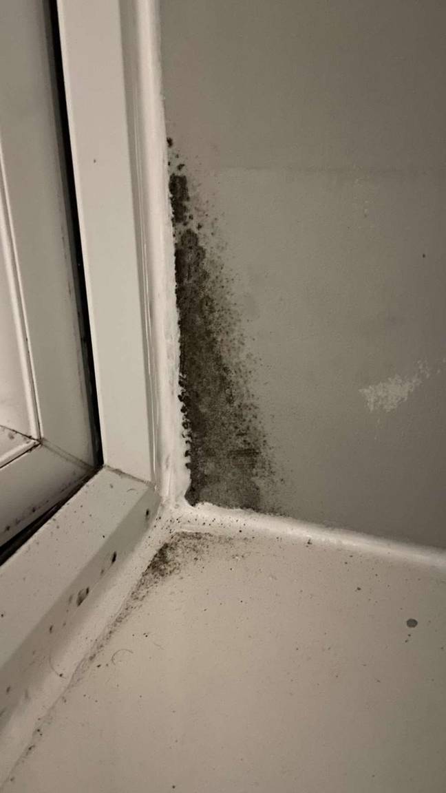 The rats weren't the only issue as the student house was also riddled with mould. Credit: SWNS