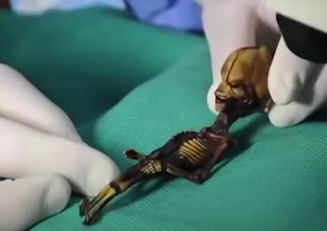 The skeleton was found in the Chilean desert back in 2003. Credit: YouTube/Inverse