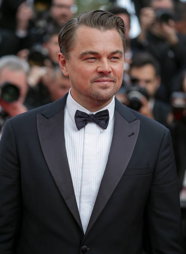 But DiCaprio has never himself taken drugs. Credit: Allstar Picture Library Ltd / Alamy Stock Photo