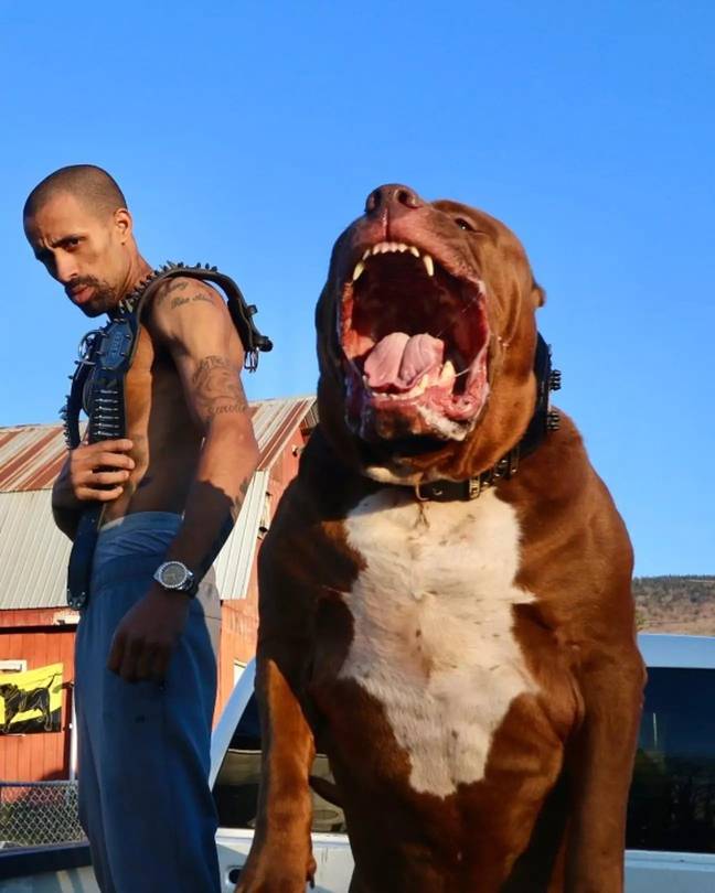 Marlon Greenan and Hulk, who stands at six-feet on his hind legs. Credit: Instagram/@iam_thehulk