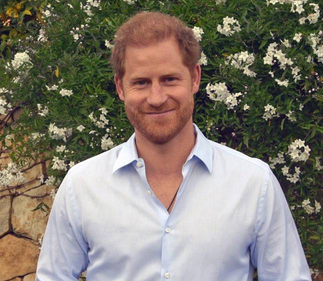The brilliantly bizarre revelation began when customers of EsteNove in Istanbul have been demanding to look like the Duke of Sussex. Credit: PA