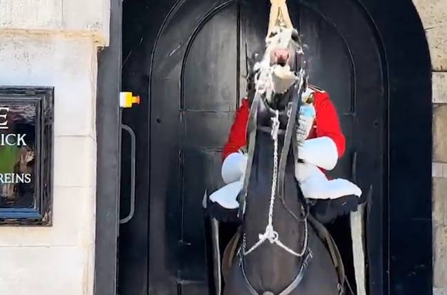 The horse was clearly agitated. Credit: YouTube/The King’s Guard UK