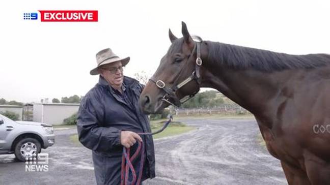 The millionaire has never met his horse trainer, Rex Lipp. Credit: 9 News