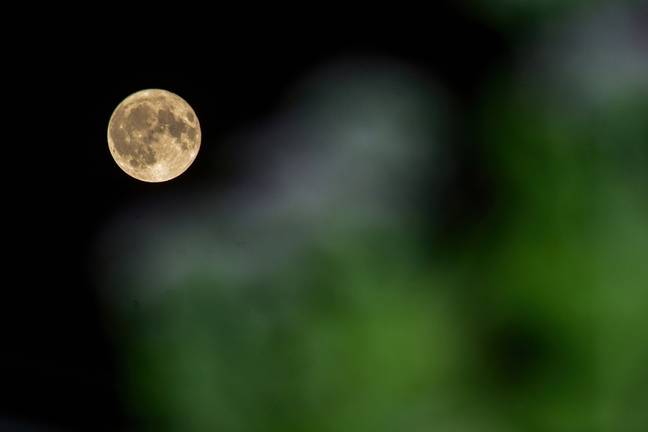 The 'Sturgeon' supermoon will be lighting up the sky next week. Credit: Saqib Majeed/SOPA Images/LightRocket via Getty Images