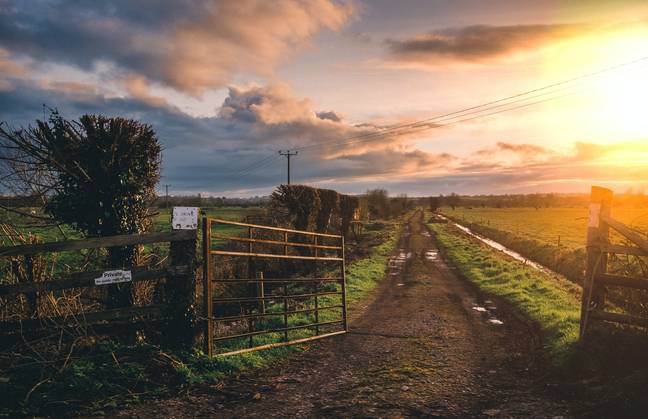 But my dog did actually get sent to a farm, my mum told me. Credit: Pexels/Chanita Sykes