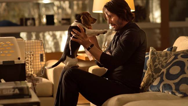 Reeves as Wick with his ill-fated pupperino. Credit:  Summit Entertainment